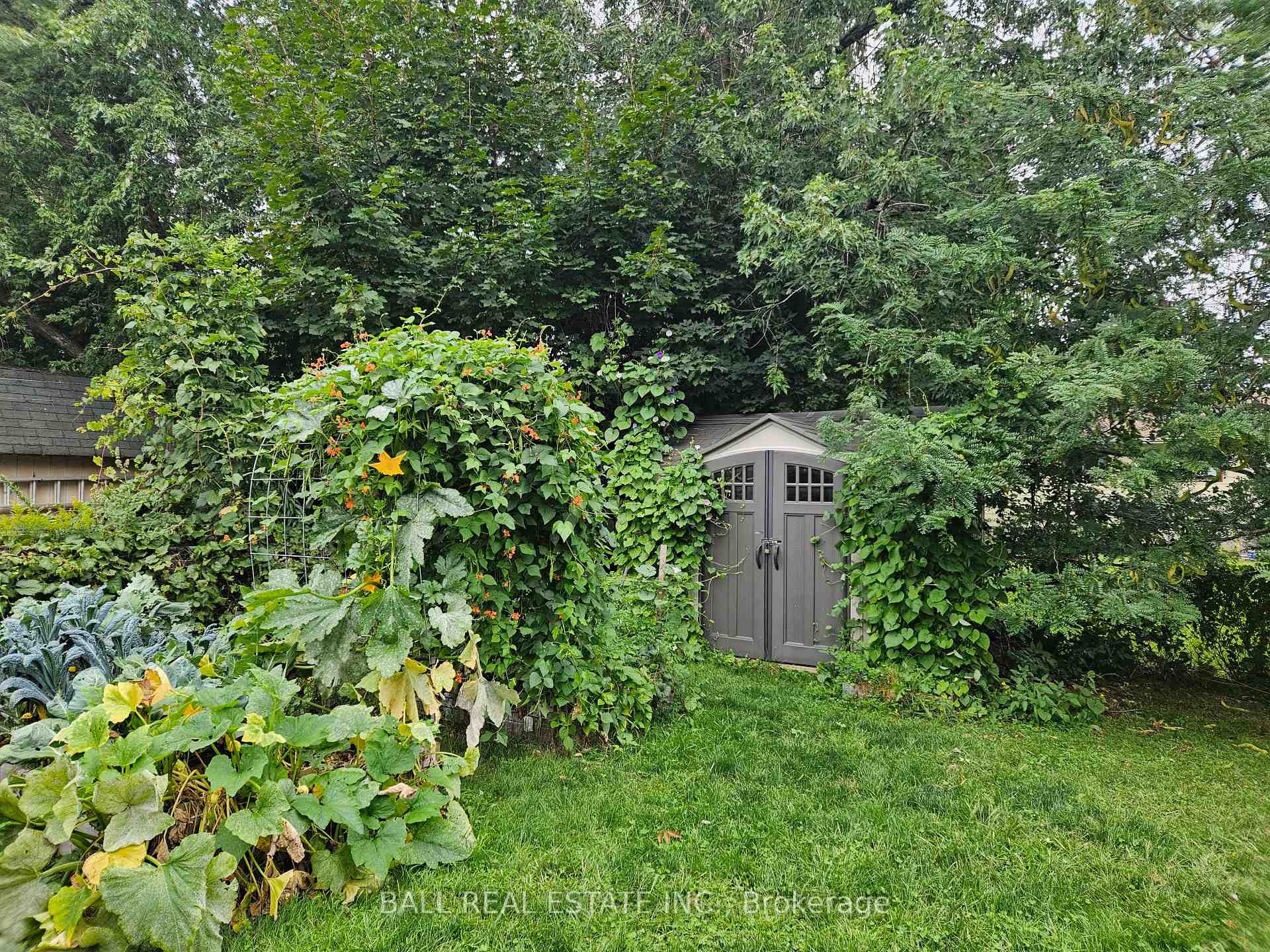 Photo 46 of 52 Coyle Crescent, Selwyn — HOMEH