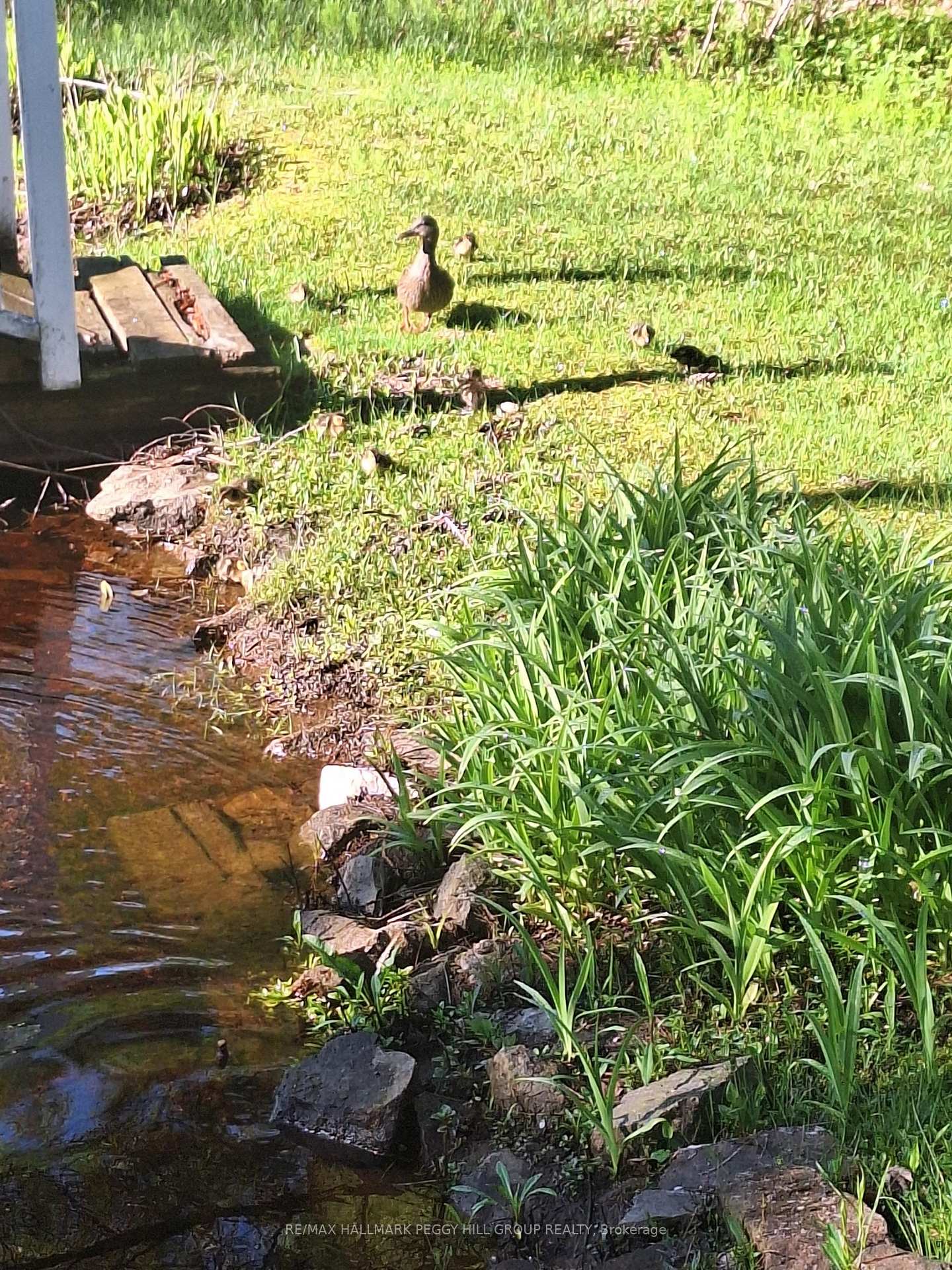 Photo 18 of 1016 Manson Lane, Severn, Rural Severn — HOMEH