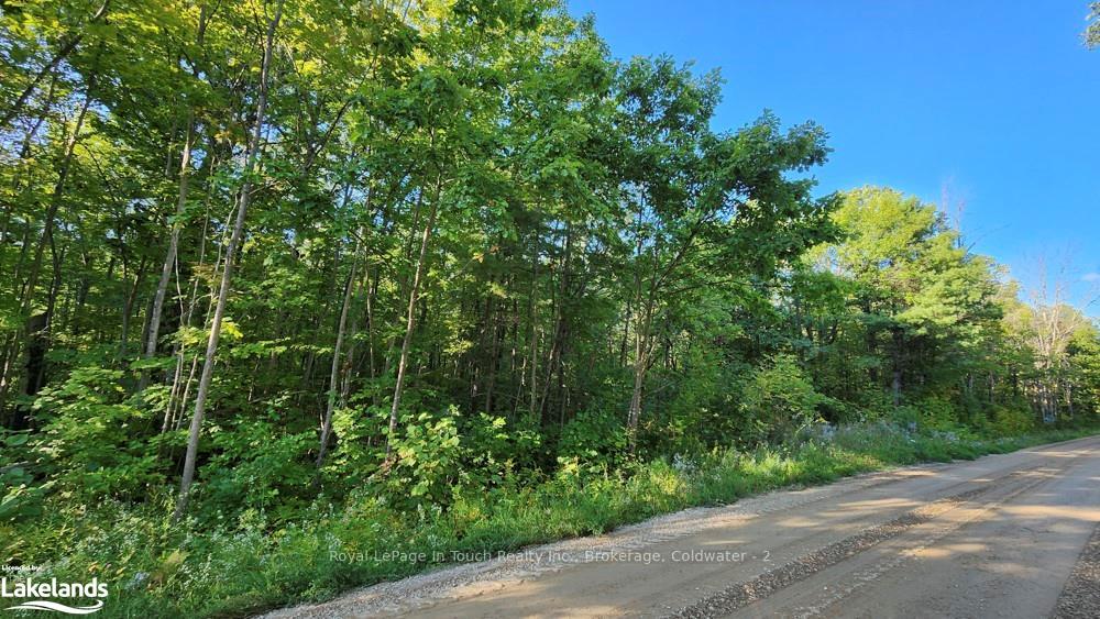 Photo 4 of 1750 Laughlin Falls Road, Severn, Rural Severn — HOMEH