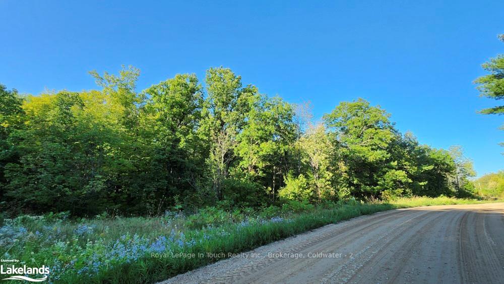 Photo 8 of 1750 Laughlin Falls Road, Severn, Rural Severn — HOMEH