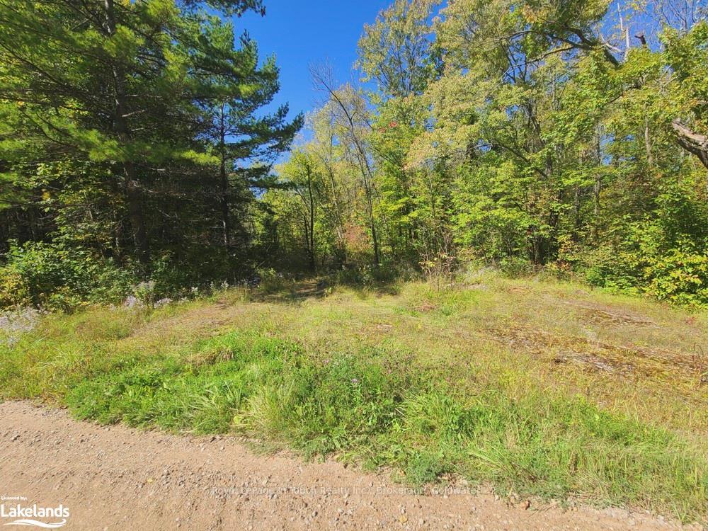 Photo 12 of 1750 Laughlin Falls Road, Severn, Rural Severn — HOMEH