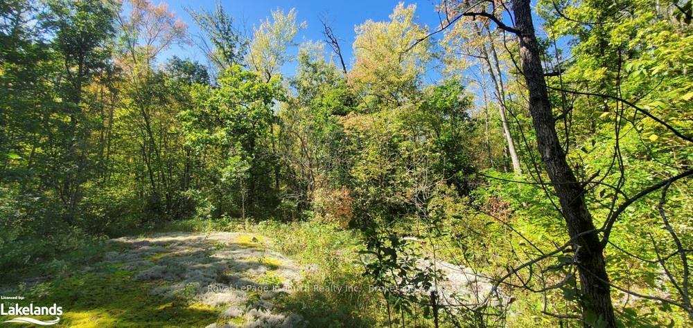Photo 13 of 1750 Laughlin Falls Road, Severn, Rural Severn — HOMEH