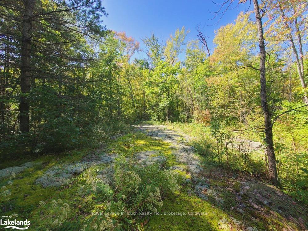 Photo 14 of 1750 Laughlin Falls Road, Severn, Rural Severn — HOMEH