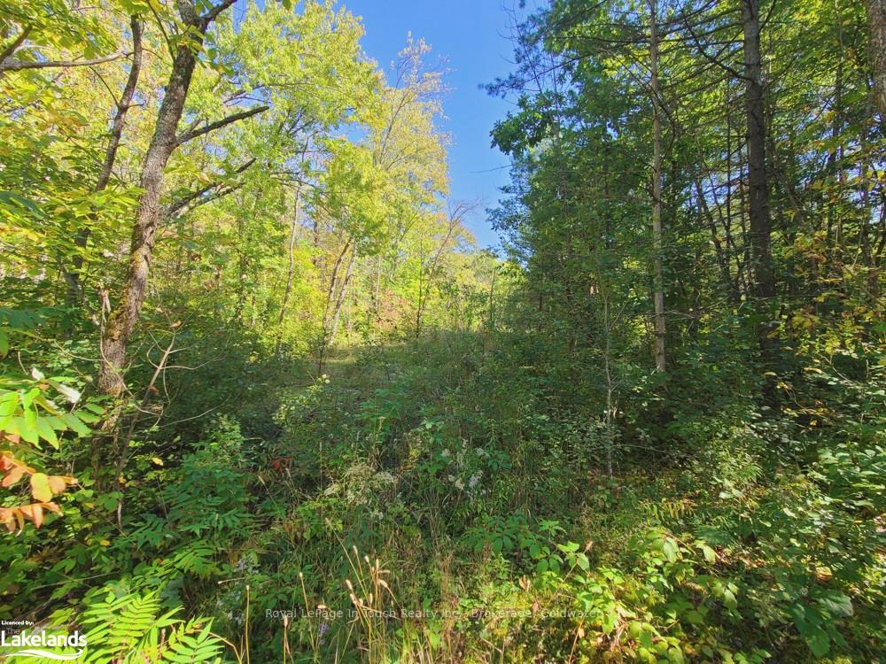 Photo 15 of 1750 Laughlin Falls Road, Severn, Rural Severn — HOMEH