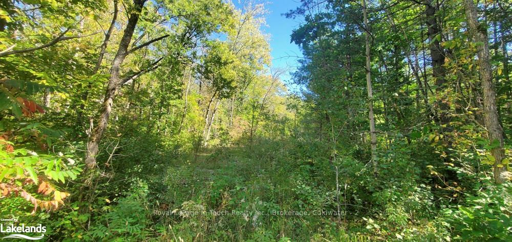 Photo 16 of 1750 Laughlin Falls Road, Severn, Rural Severn — HOMEH