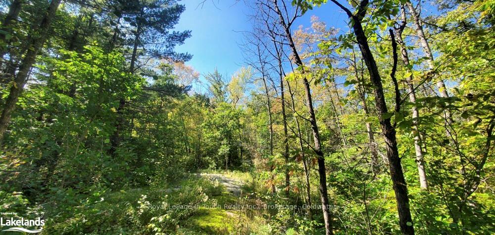 Photo 17 of 1750 Laughlin Falls Road, Severn, Rural Severn — HOMEH