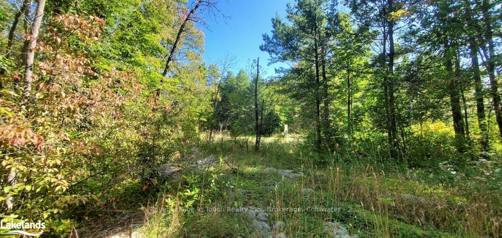 Photo 18 of 1750 Laughlin Falls Road, Severn, Rural Severn — HOMEH