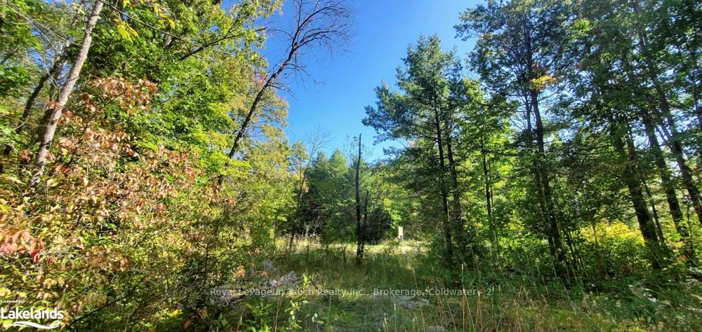 Photo 19 of 1750 Laughlin Falls Road, Severn, Rural Severn — HOMEH