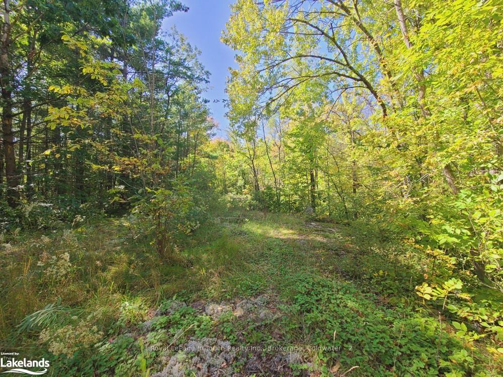 Photo 20 of 1750 Laughlin Falls Road, Severn, Rural Severn — HOMEH
