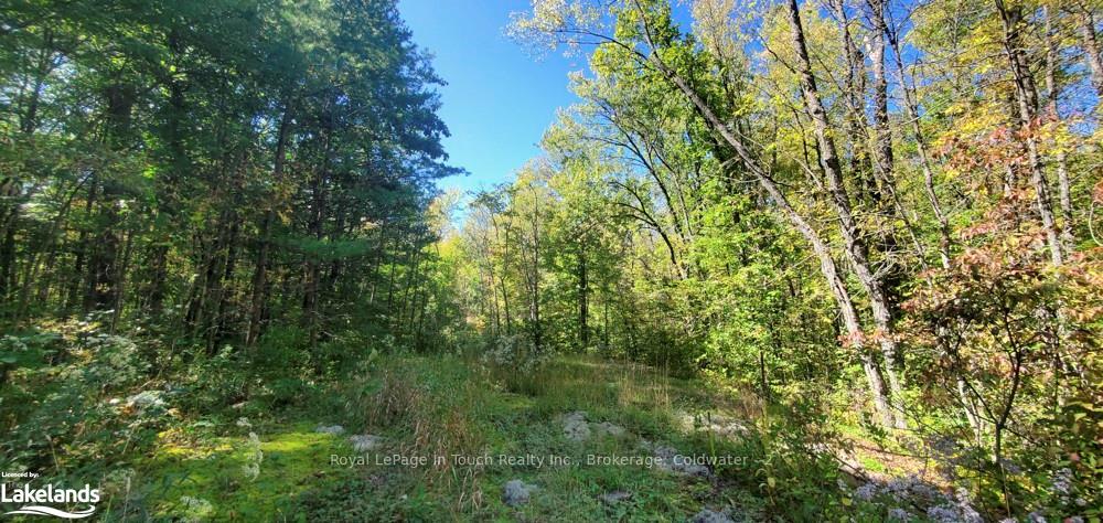 Photo 21 of 1750 Laughlin Falls Road, Severn, Rural Severn — HOMEH
