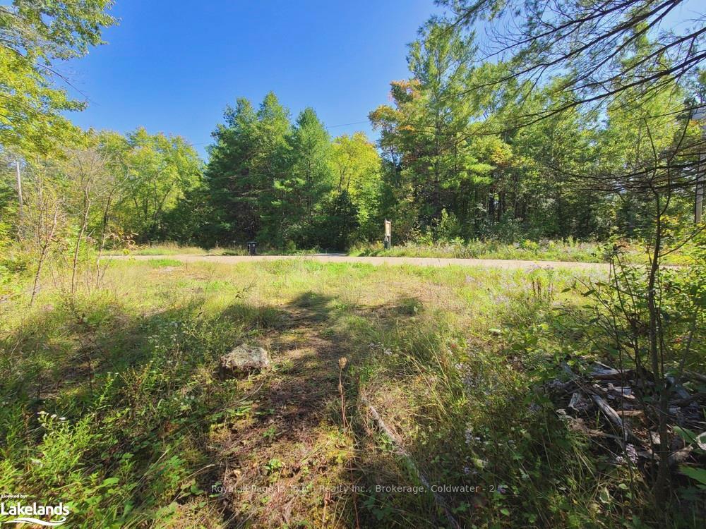 Photo 22 of 1750 Laughlin Falls Road, Severn, Rural Severn — HOMEH