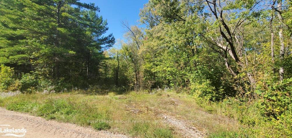 Photo 24 of 1750 Laughlin Falls Road, Severn, Rural Severn — HOMEH