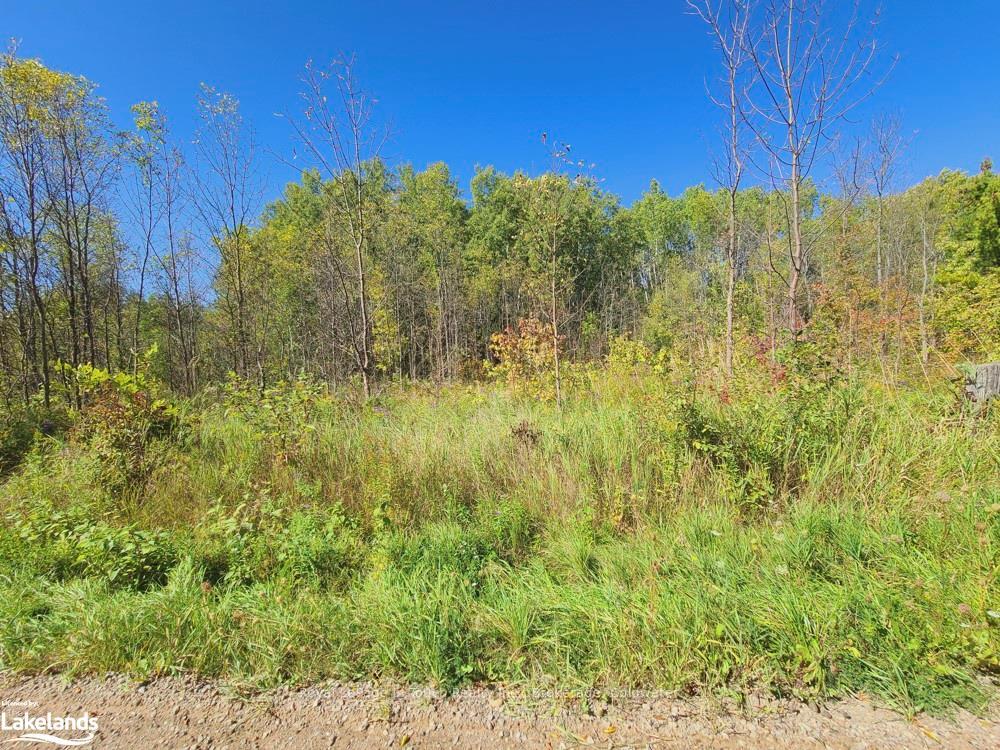 Photo 25 of 1750 Laughlin Falls Road, Severn, Rural Severn — HOMEH