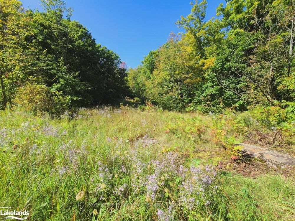 Photo 26 of 1750 Laughlin Falls Road, Severn, Rural Severn — HOMEH