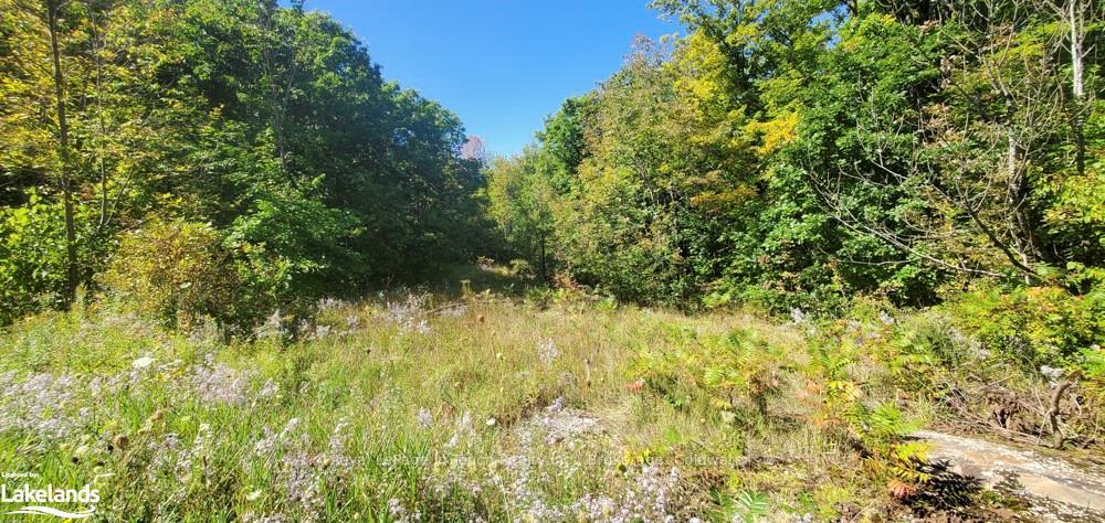 Photo 27 of 1750 Laughlin Falls Road, Severn, Rural Severn — HOMEH