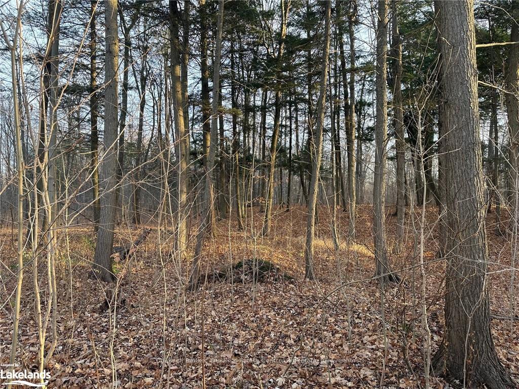 Photo 2 of 9561 11 N, Severn, West Shore — HOMEH