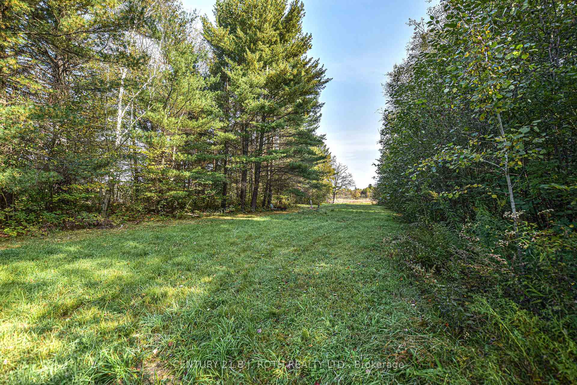 Photo 9 of 1528 Kitchen Side Road, Severn, Rural Severn — HOMEH