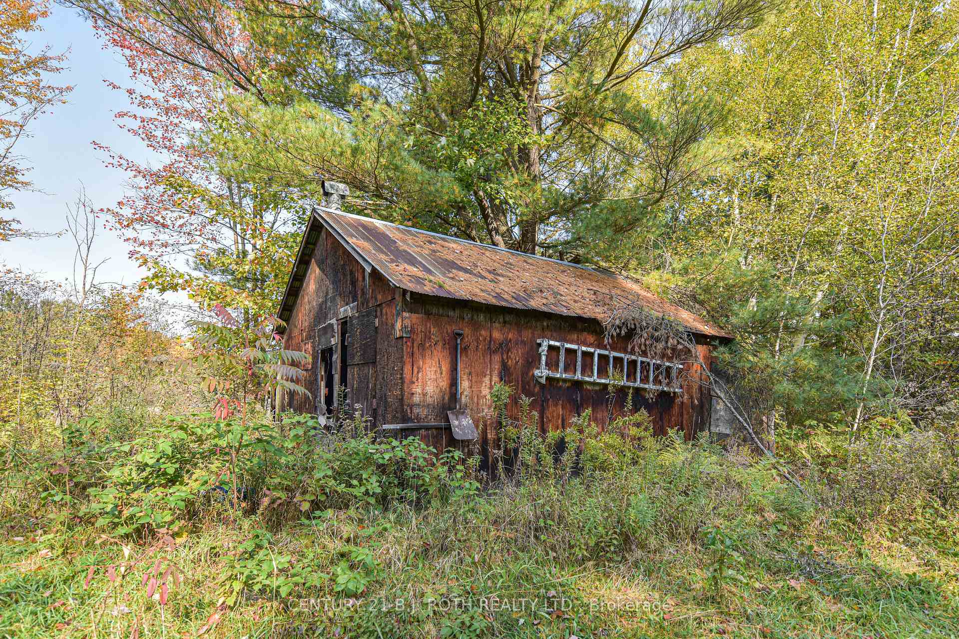 Photo 10 of 1528 Kitchen Side Road, Severn, Rural Severn — HOMEH