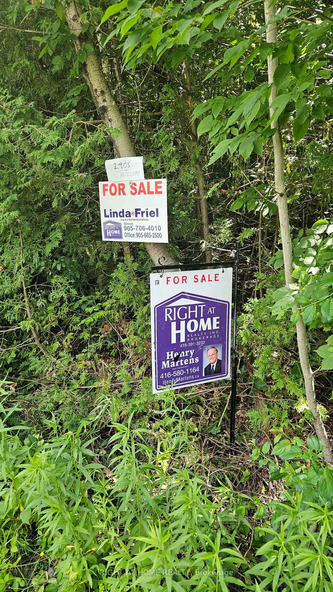 Photo 8 of 2905 Antelope Trail, Selwyn — HOMEH