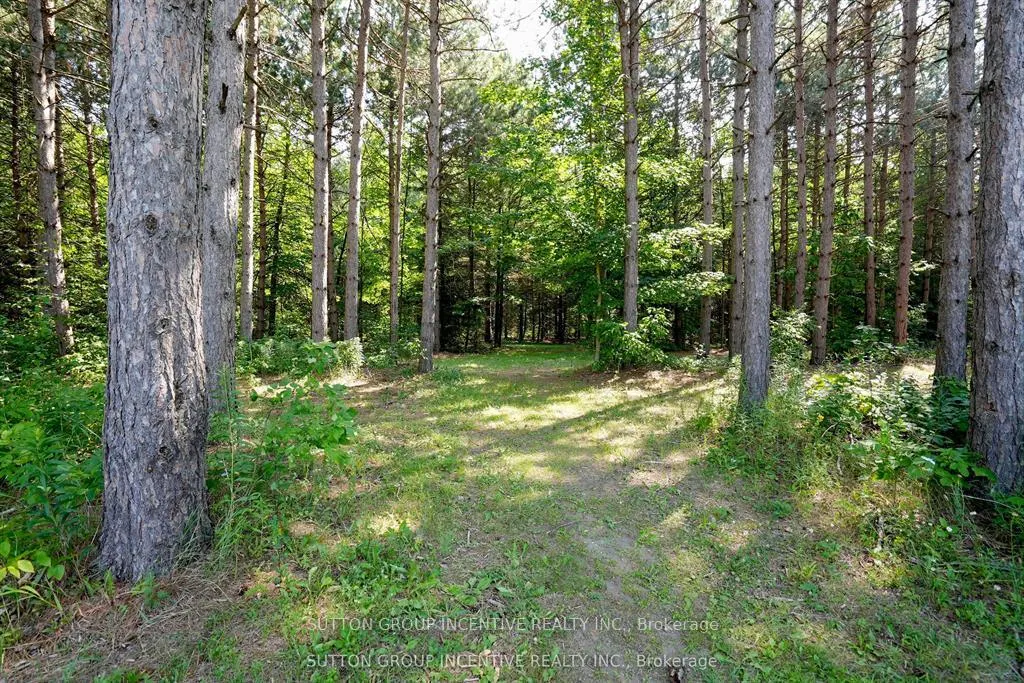 Photo 14 of 13895 County Rd 27, Springwater, Rural Springwater — HOMEH