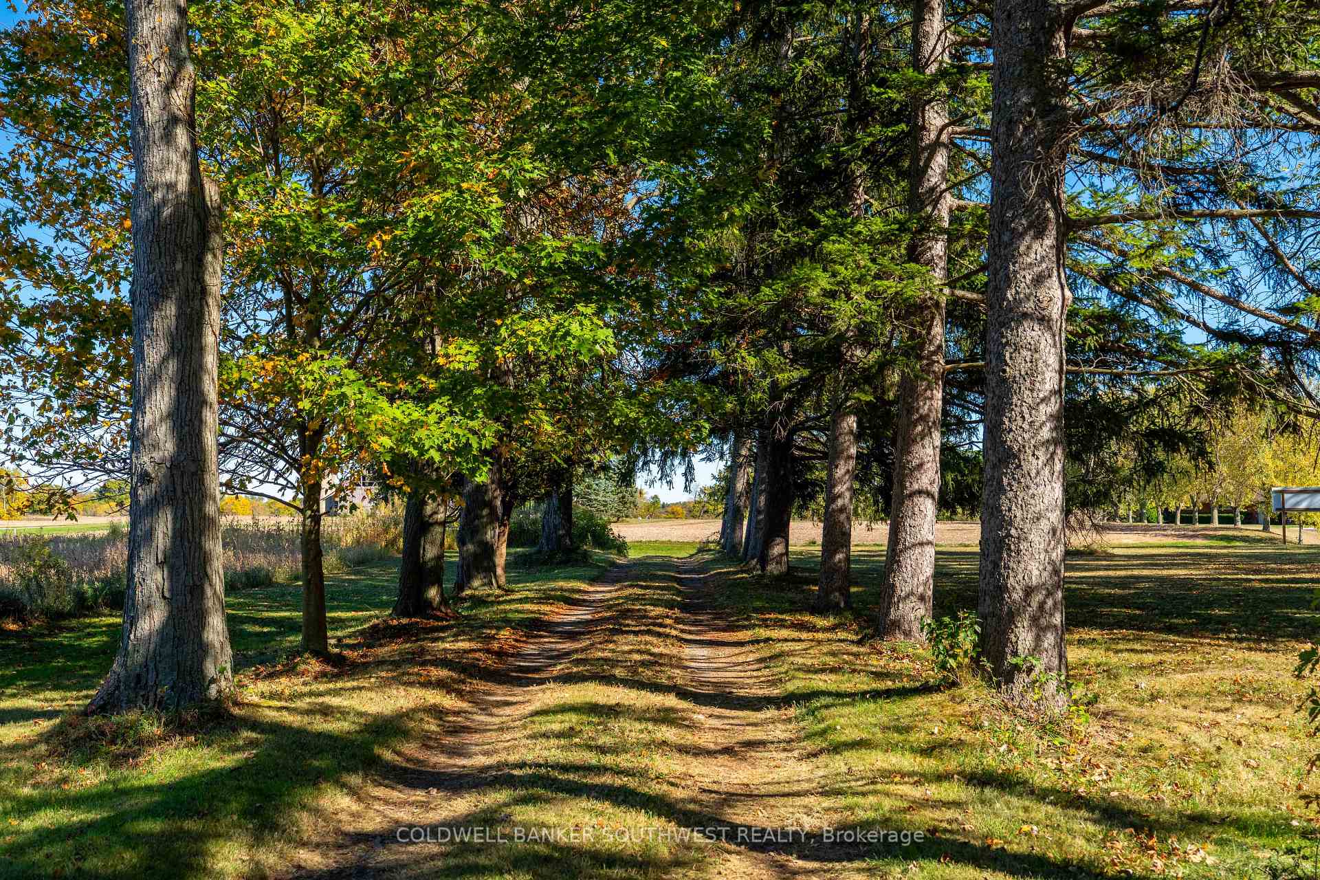 Photo 6 of 3127 Brigden Road, St. Clair — HOMEH