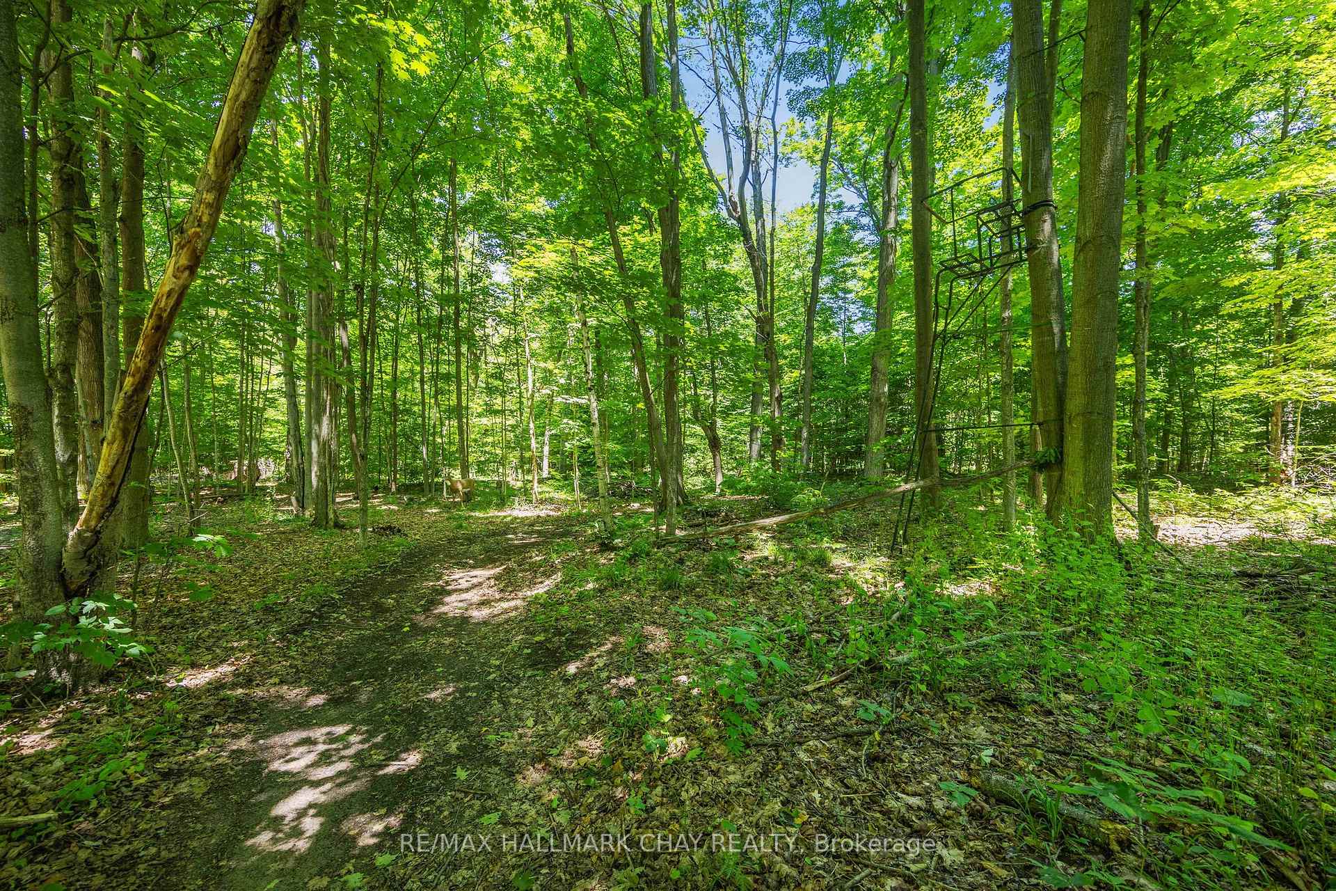 Photo 36 of 1256 Rainbow Valley Road W, Springwater, Rural Springwater — HOMEH