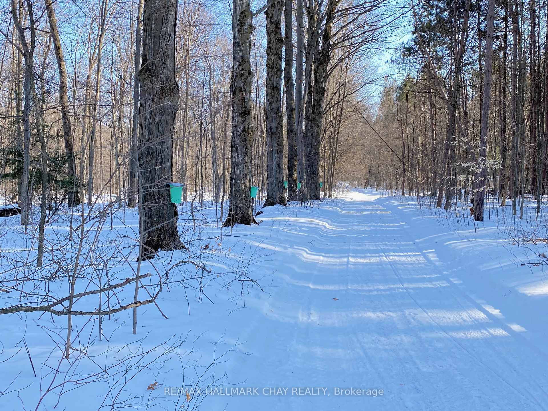 Photo 41 of 1256 Rainbow Valley Road W, Springwater, Rural Springwater — HOMEH