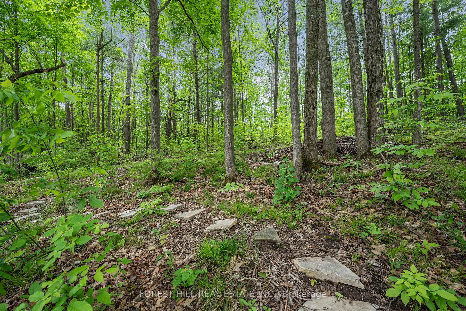 Photo 46 of 8 Frid Boulevard, Springwater, Midhurst — HOMEH