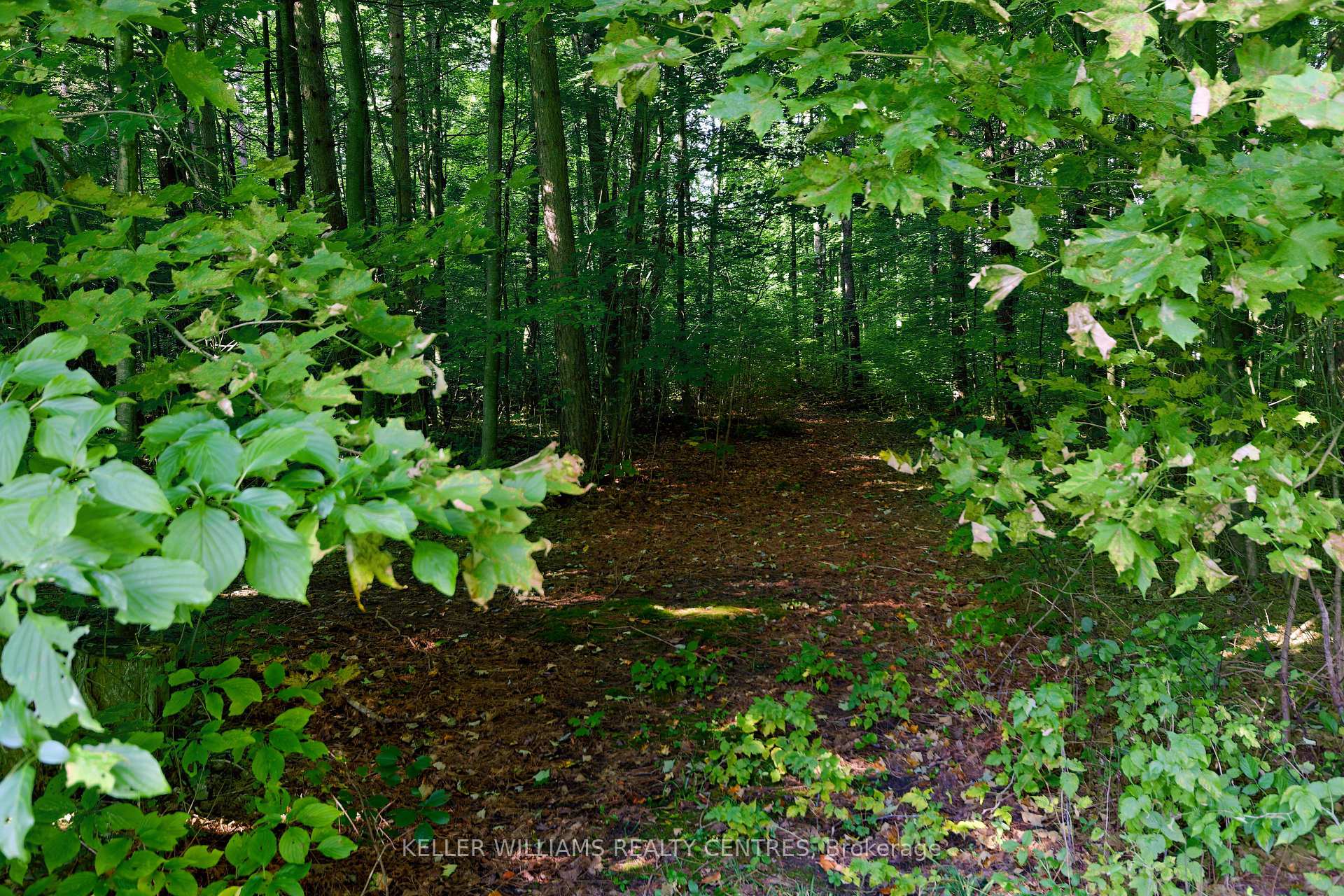 Photo 38 of 1138 Old Second Road N, Springwater, Rural Springwater — HOMEH
