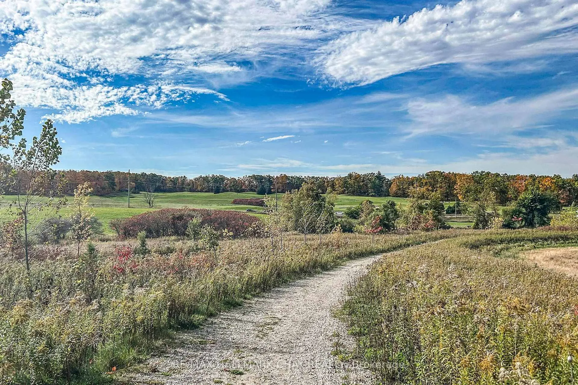 Photo 47 of 109 Bearberry Road, Springwater, Midhurst — HOMEH