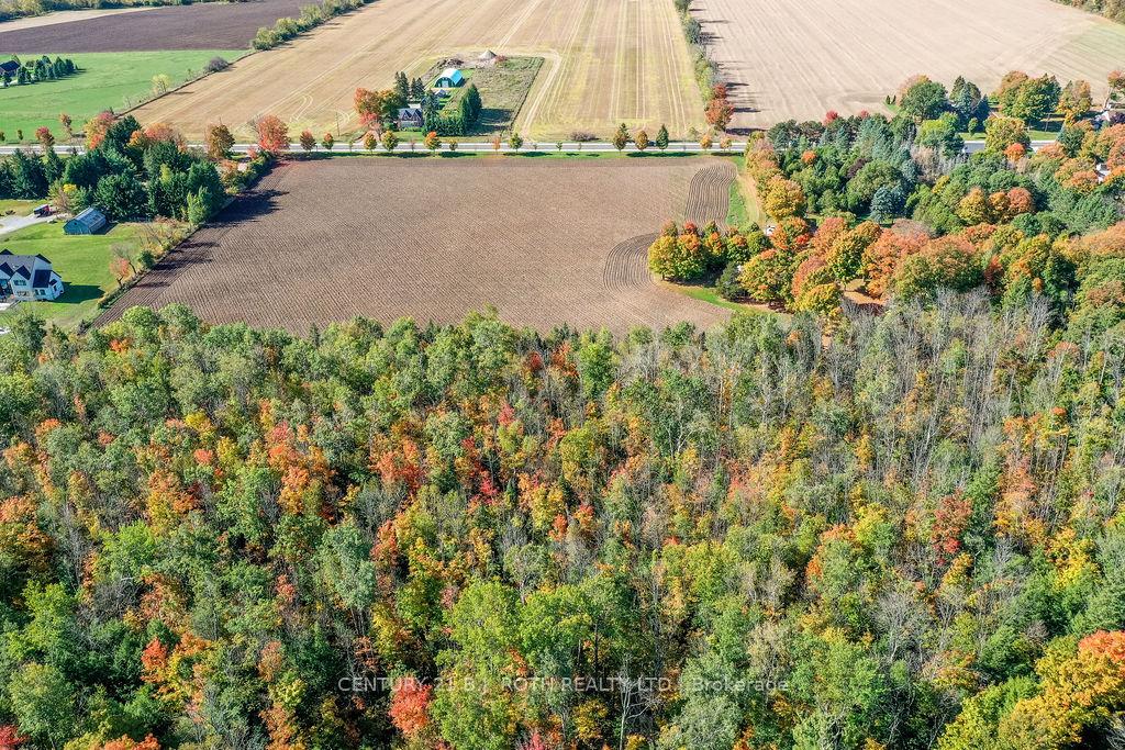 Photo 4 of 1839 George Johnston Road, Springwater, Rural Springwater — HOMEH