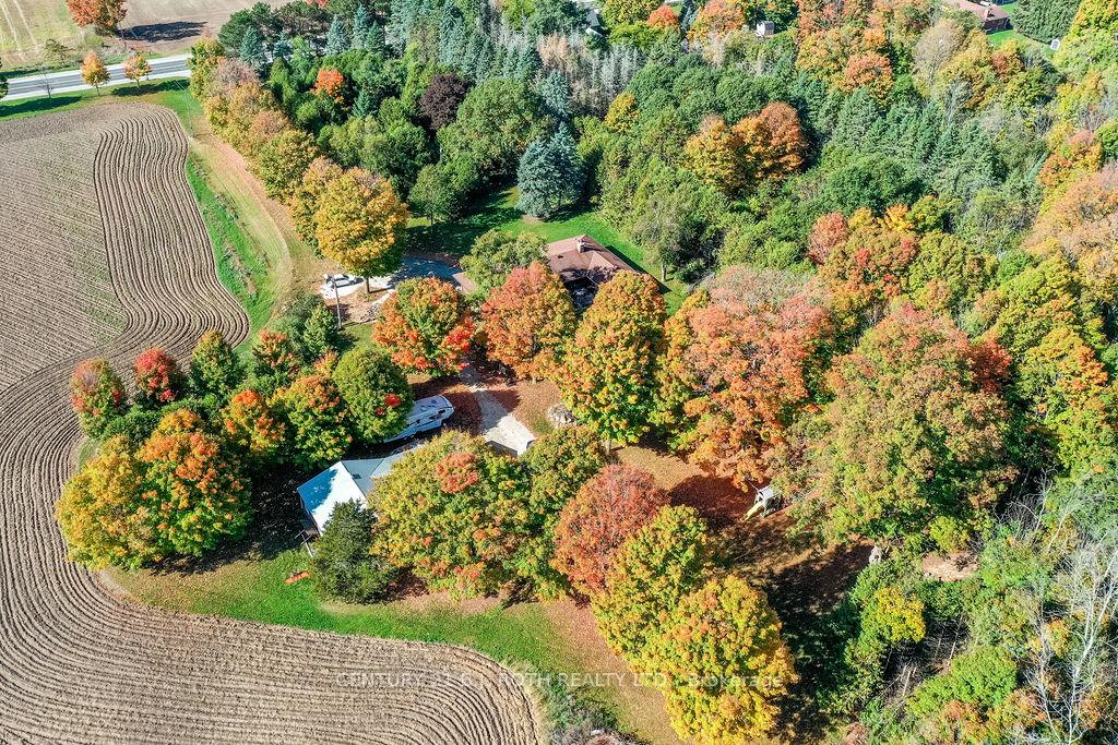 Photo 5 of 1839 George Johnston Road, Springwater, Rural Springwater — HOMEH