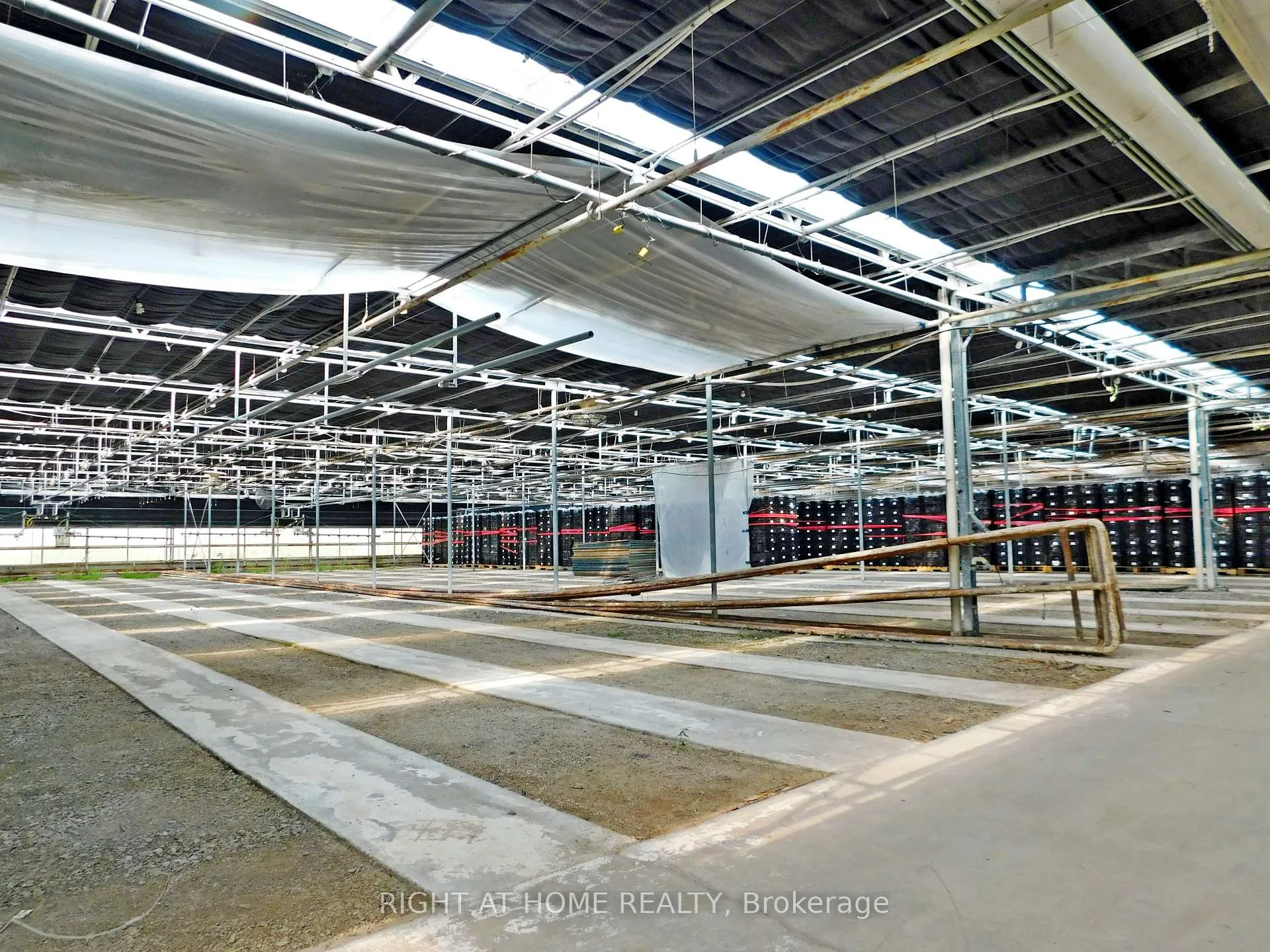 Photo 22 of 344 Read Road, St. Catharines, Port Weller — HOMEH