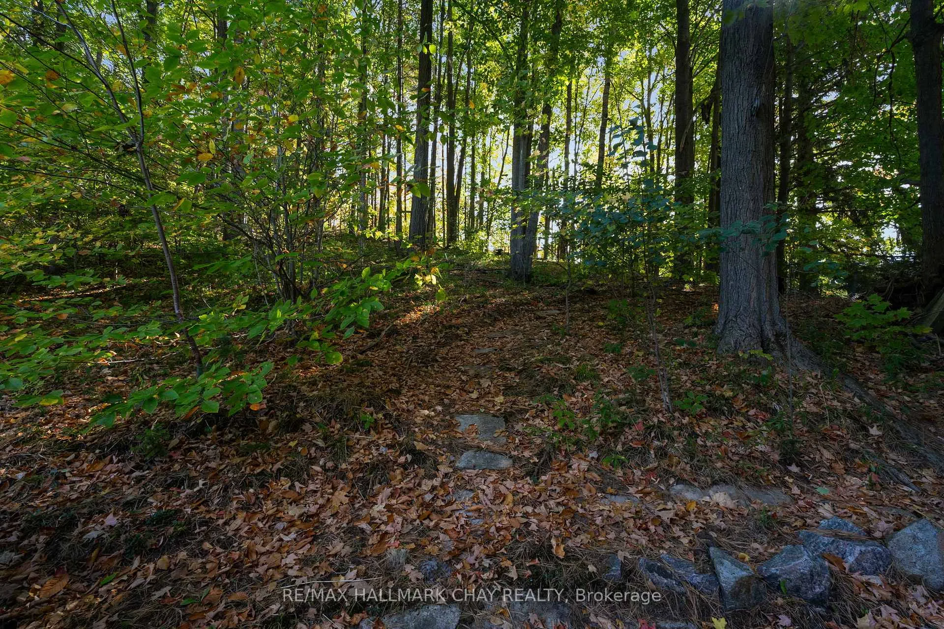 Photo 35 of 53 Doran Road, Springwater, Rural Springwater — HOMEH