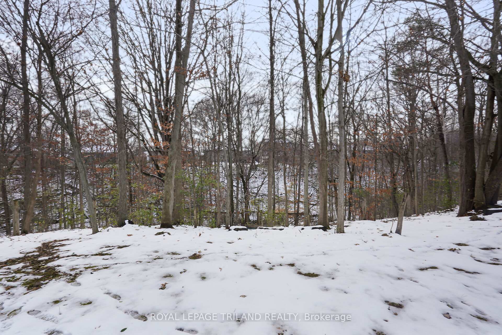 Photo 42 of 36 Thorman Terrace, St. Thomas — HOMEH