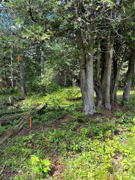 Photo 3 of Lot 23 Dwyer Hill Road, Ottawa, Rideau Twp South To Roger Stevens Drive — HOMEH