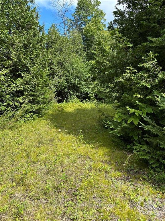 Photo 7 of Lot 23 Dwyer Hill Road, Ottawa, Rideau Twp South To Roger Stevens Drive — HOMEH