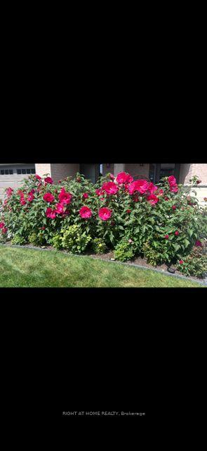 Photo 29 of 229 Purchase Crescent, Ottawa, Stittsville (South) — HOMEH