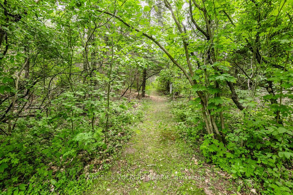 Photo 39 of 1175 Carson Road, Springwater, Midhurst — HOMEH