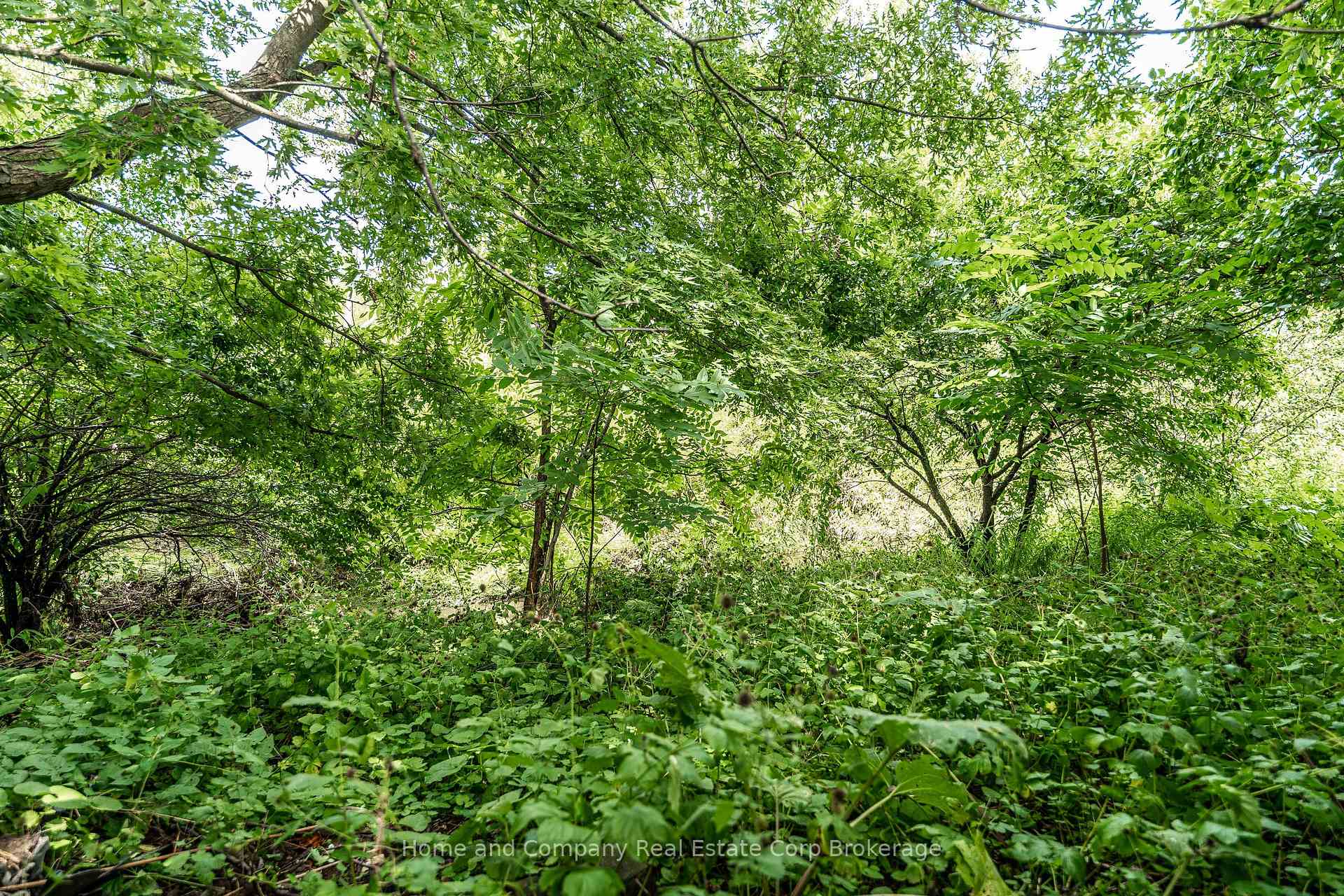 Photo 45 of 155 Franklin Drive, Stratford — HOMEH