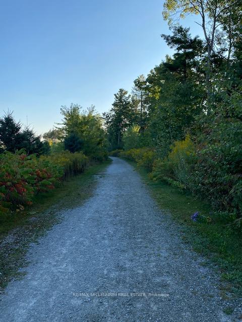 Photo 47 of 1030 Sunnidale Road, Springwater, Rural Springwater — HOMEH