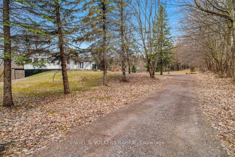 Photo 39 of 2509 George Johnston Road, Springwater, Snow Valley — HOMEH