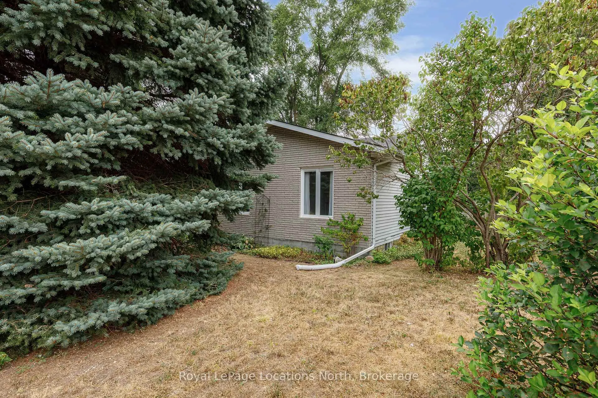 Photo 42 of 399 Spruce Street, Collingwood — HOMEH