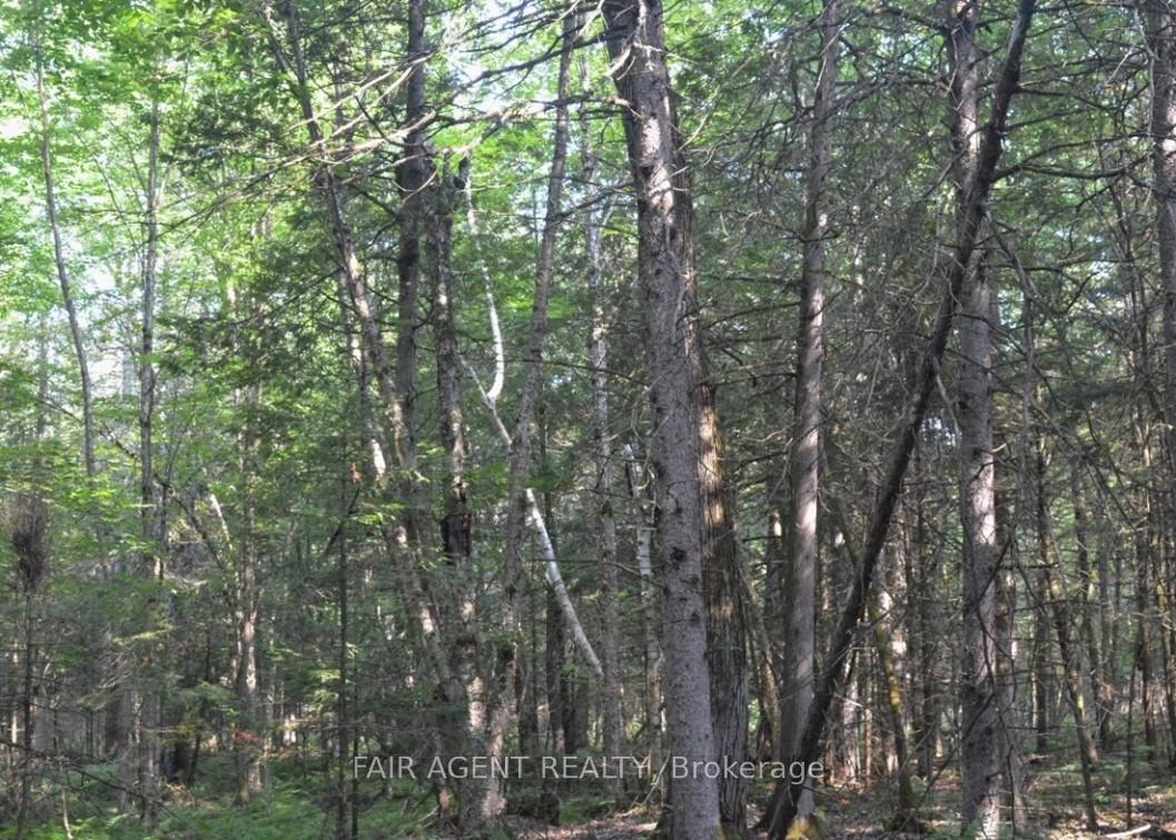 Photo 3 of 6999 Bleeks Road, Ottawa, Btwn Franktown Rd. & Fallowfield Rd. — HOMEH