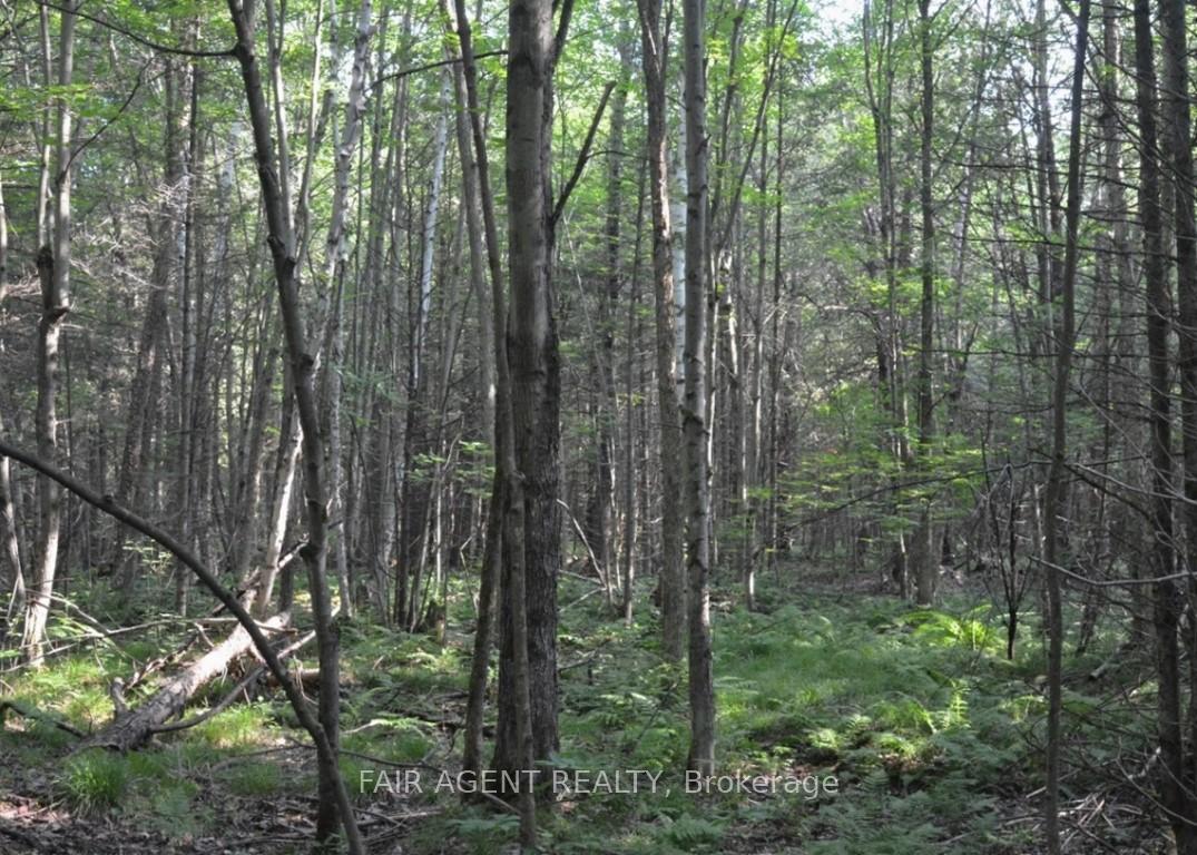 Photo 4 of 6999 Bleeks Road, Ottawa, Btwn Franktown Rd. & Fallowfield Rd. — HOMEH