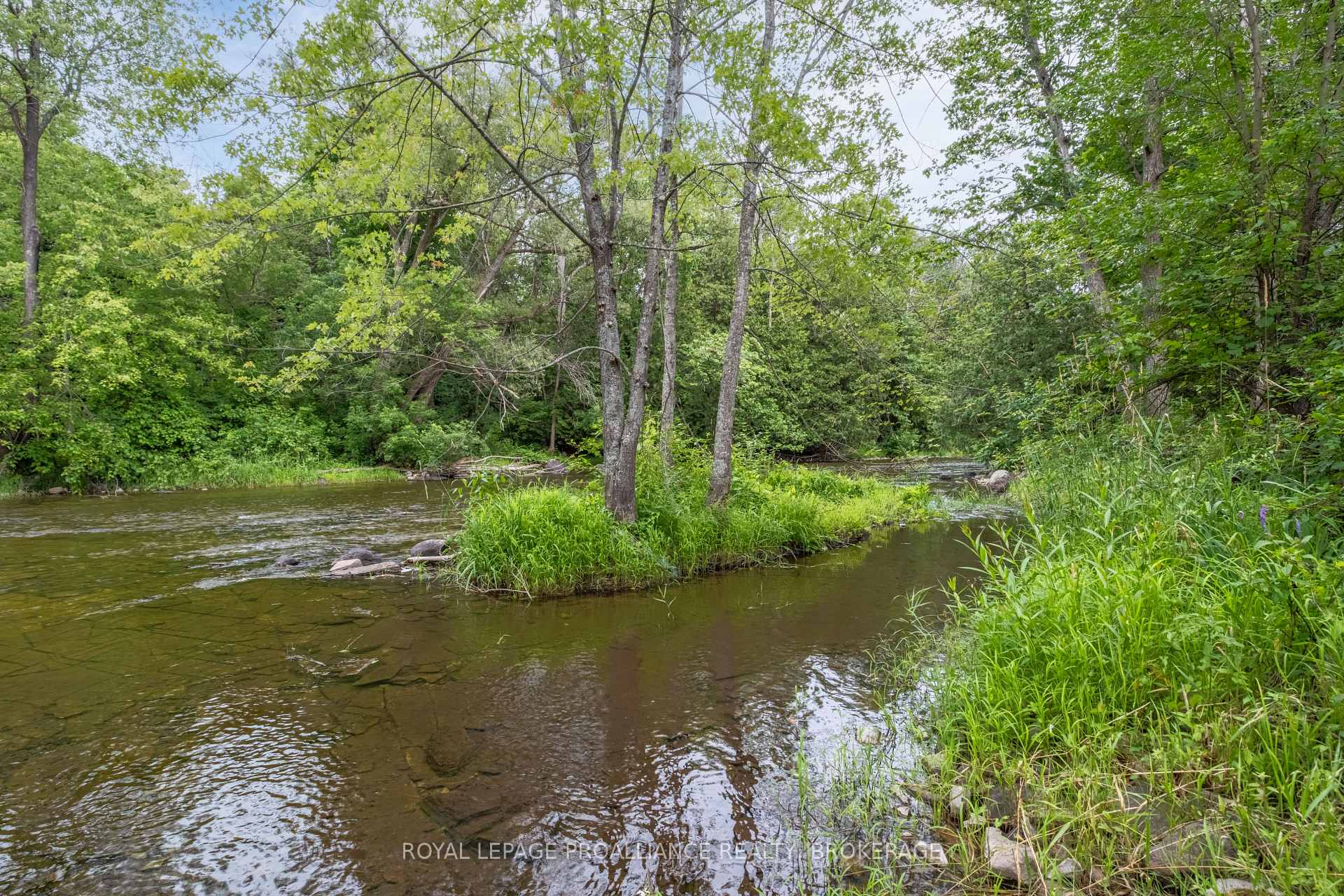 Photo 8 of 40 Concession Street S, Stone Mills — HOMEH