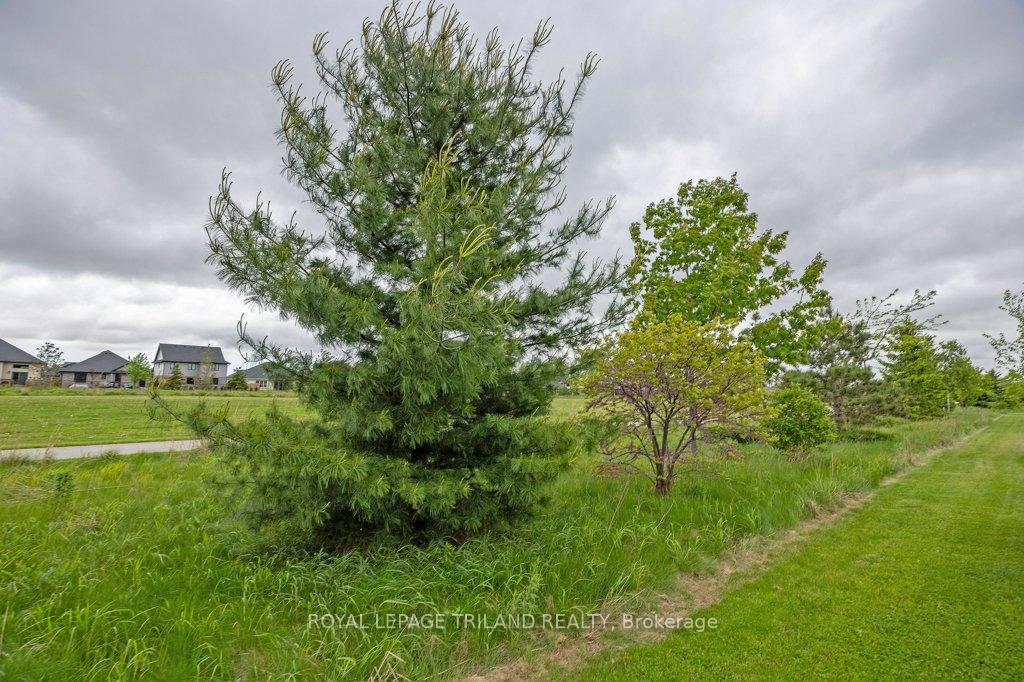 Photo 42 of 27 Foxtail Lane, St. Thomas — HOMEH