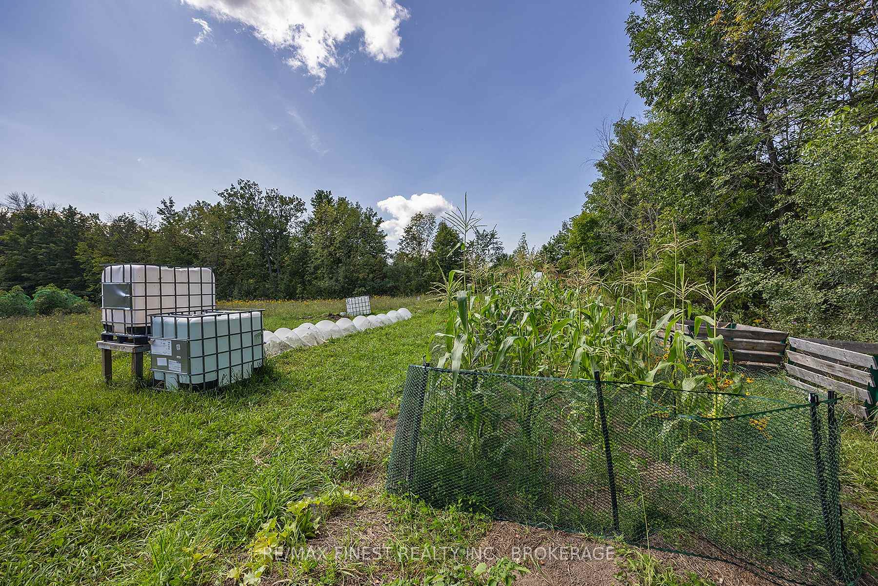 Photo 6 of 5038 County Road 4, Stone Mills — HOMEH