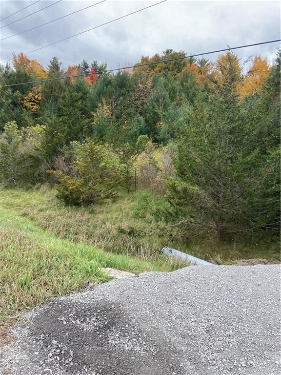 Photo 14 of PTLT25 County Road 4, Stone Mills — HOMEH