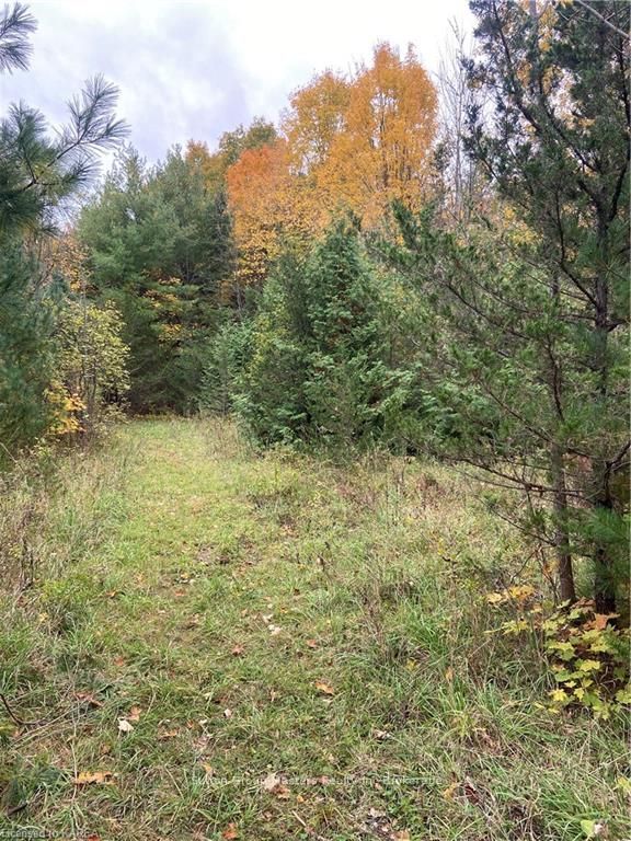 Photo 11 of PTLT25 County Road 4, Stone Mills — HOMEH